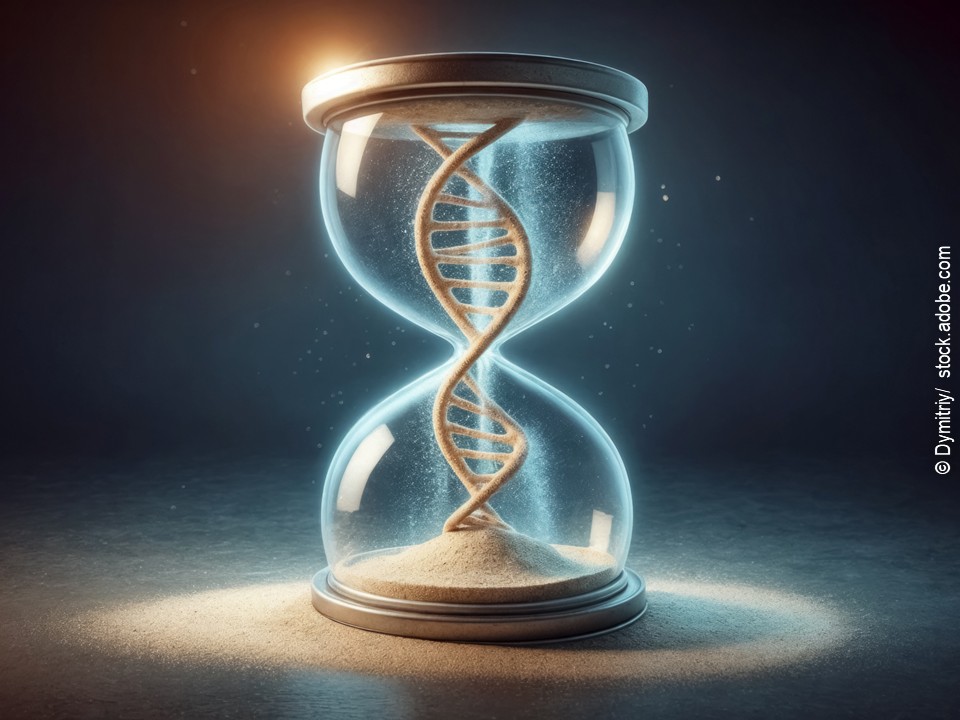 Eine stilisierte Sanduhr, in deren Inneren sich anstelle von Sand ein leuchtender DNA-Strang befindet – als Symbol für die biologische Uhr und das Altern der Zellen.